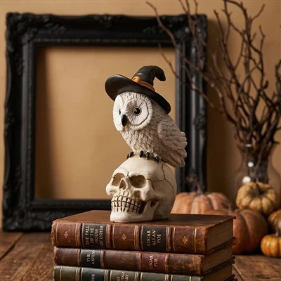 Witch Owl On Skull and Books